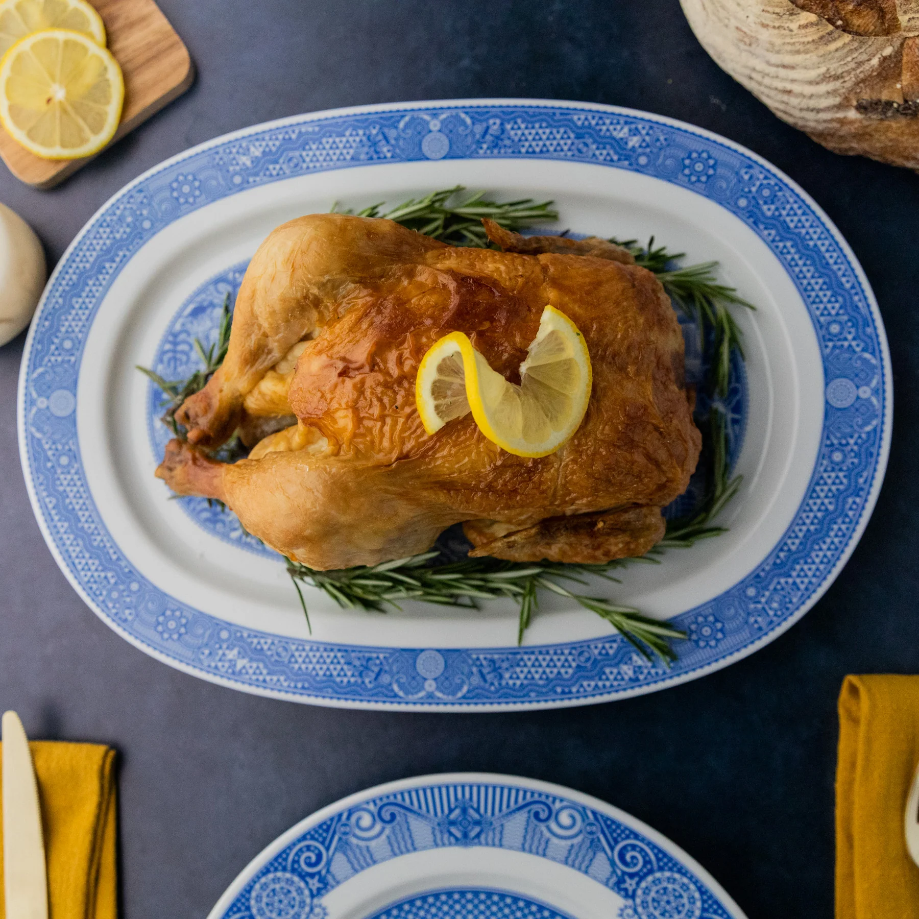 Dinosaur Platter - Image 4